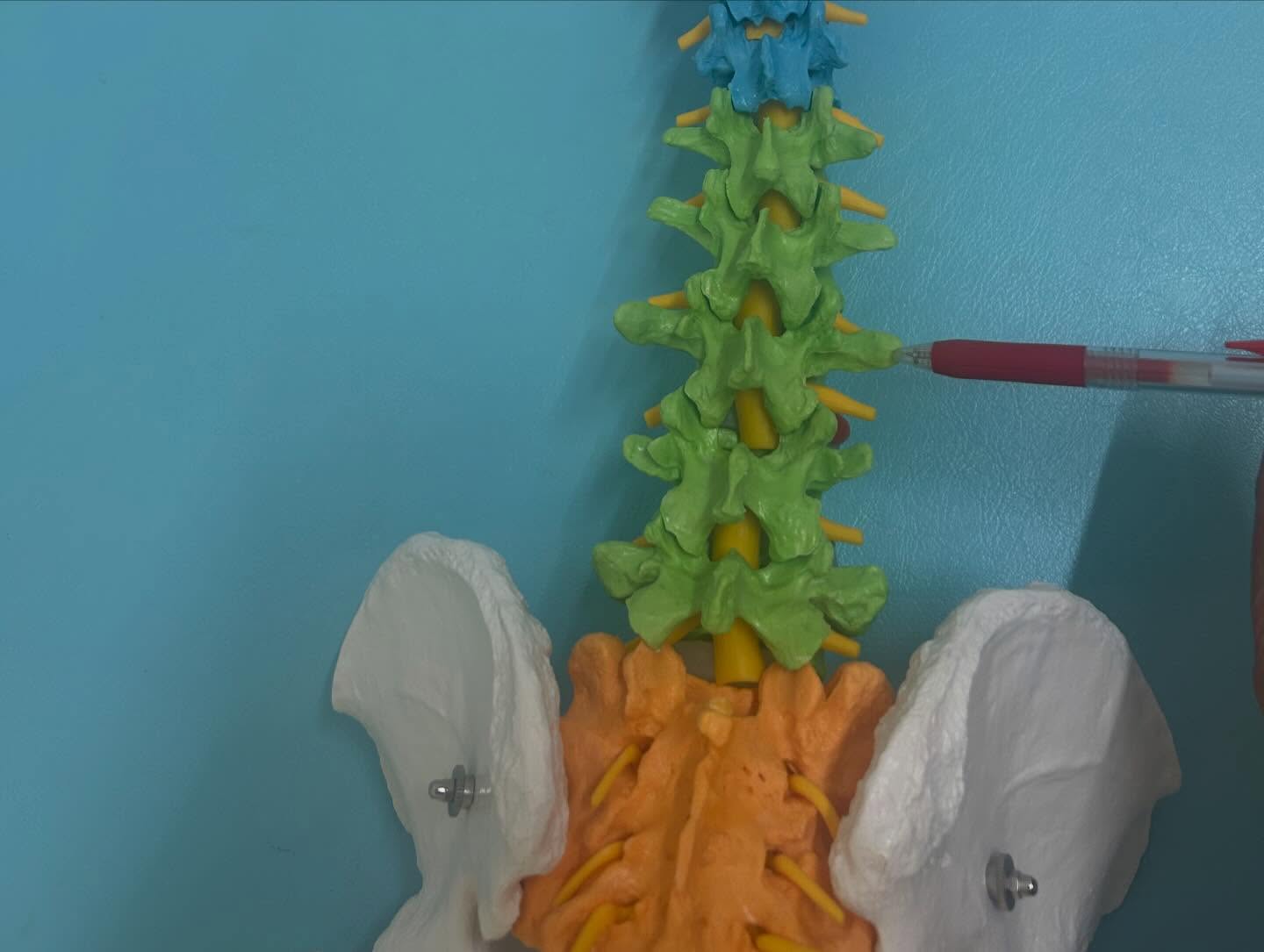 下関のみよし鍼灸整骨院で撮影した写真